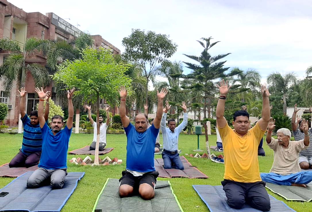 Yoga Classes in Patna, Best Yoga Classes in Patna, Yoga Therapy in Patna,Acupressure Therapy in patna